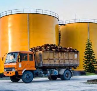 Deal! Indonesia Must Remain the World's Largest Palm Oil Producer